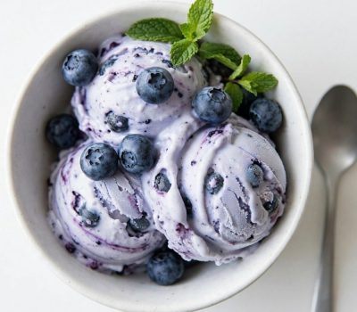 Overhead shot of blueberry frozen yogurt in a white bowl with fresh berries.