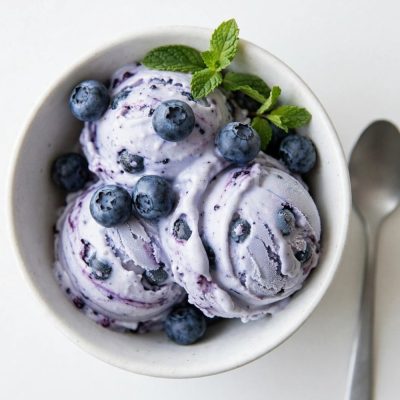 Overhead shot of blueberry frozen yogurt in a white bowl with fresh berries.