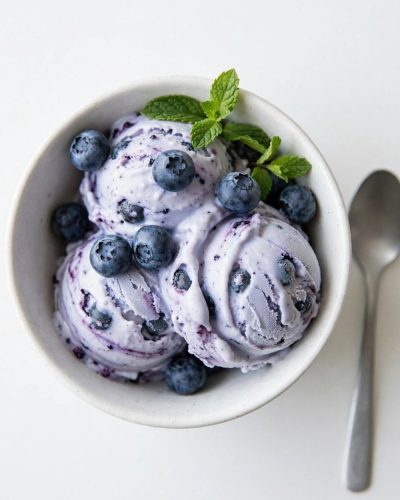 Overhead shot of blueberry frozen yogurt in a white bowl with fresh berries.