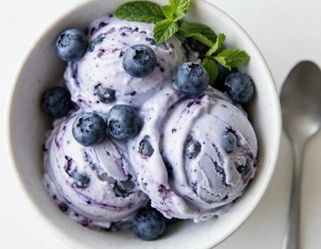 Overhead shot of blueberry frozen yogurt in a white bowl with fresh berries.